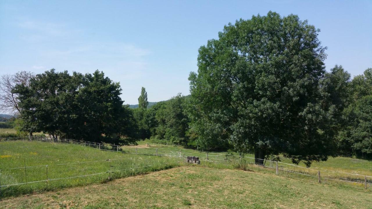 Gite Complex Near Mirepoix In The Pyrenees Limbrassac Exterior foto